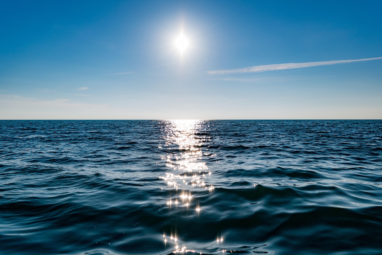 hypnotherapy career success stories: how real practitioners built their practices