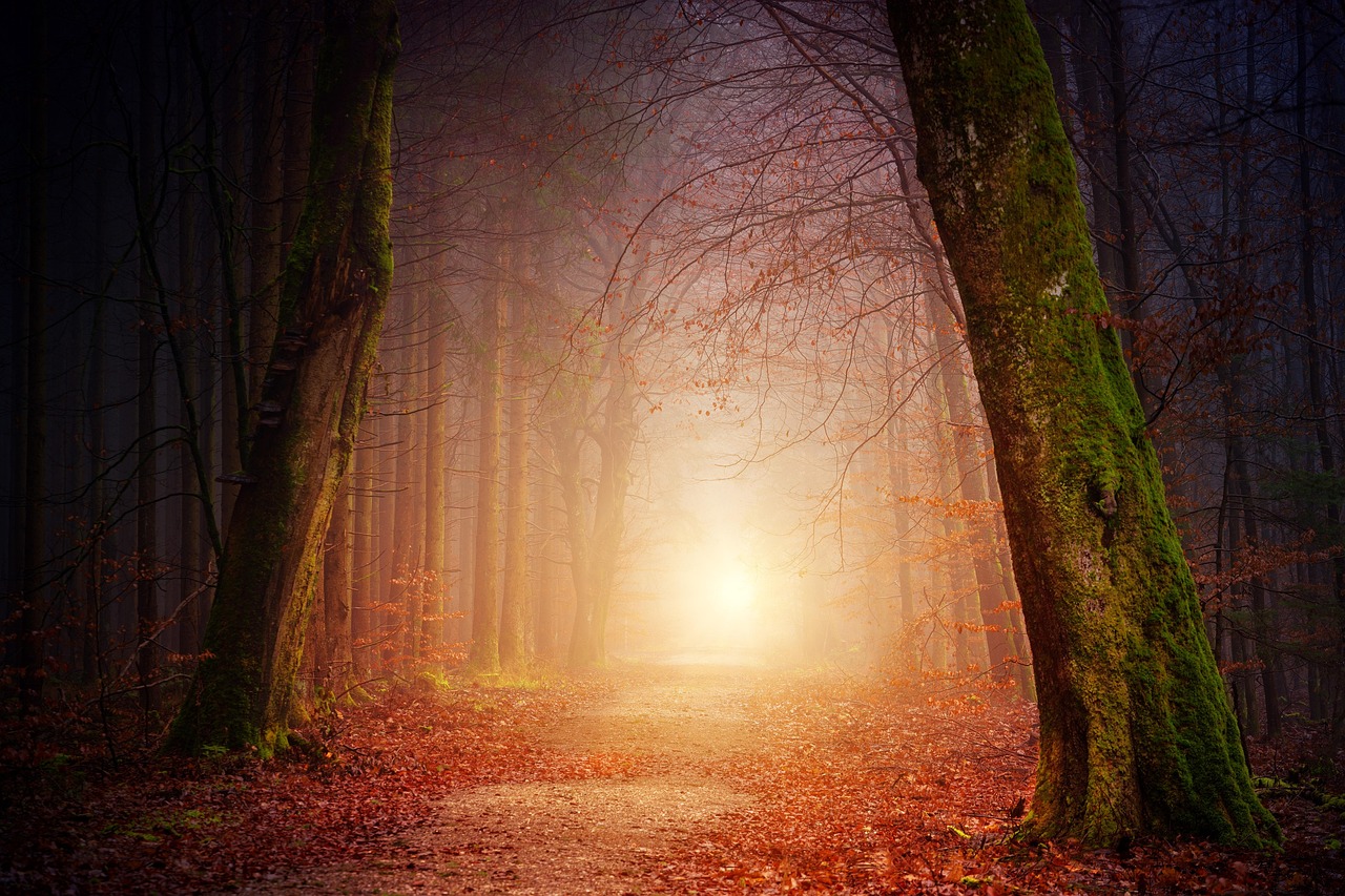 [self-hypnosis] i create from an open heart