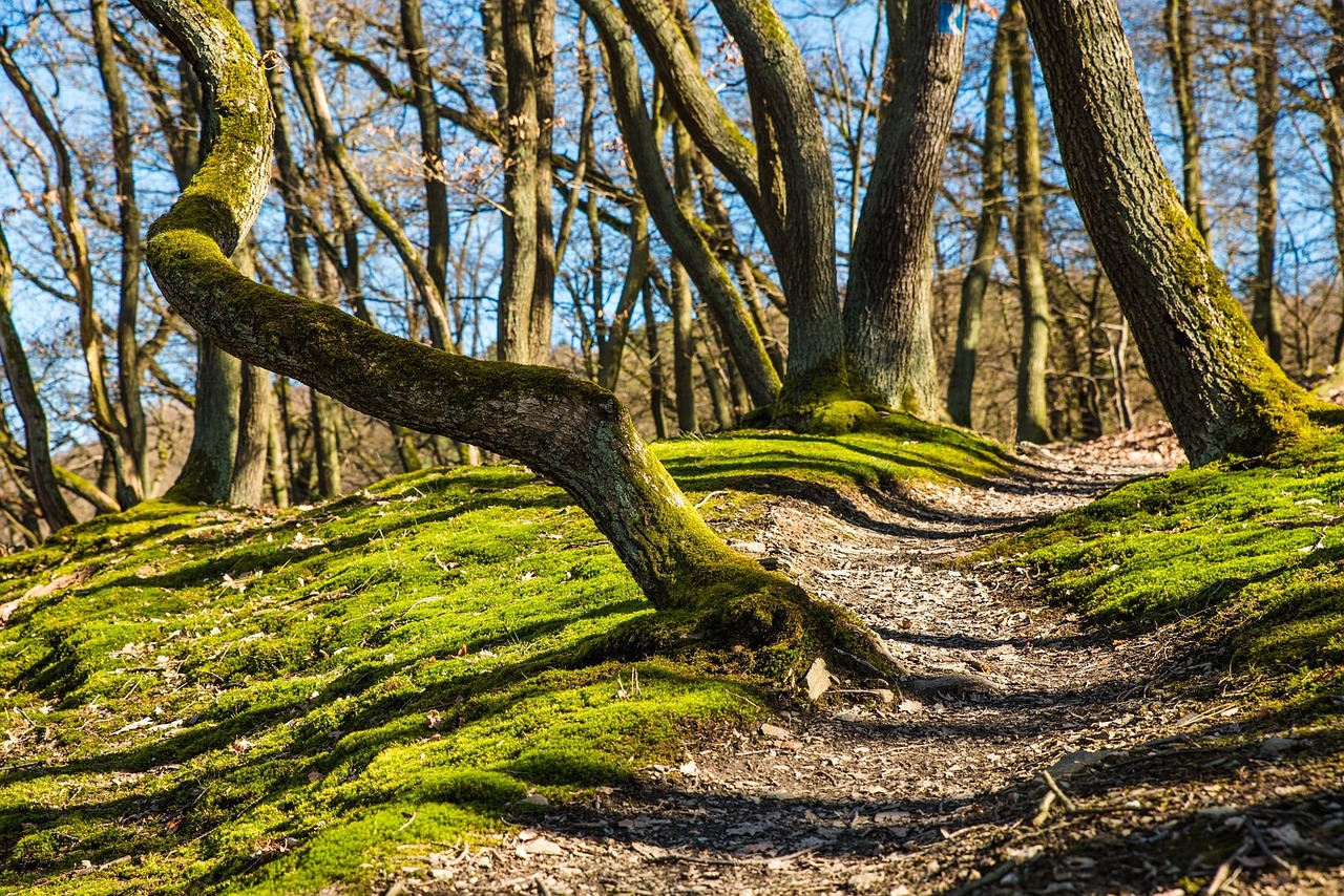 [self-hypnosis] i am resilient