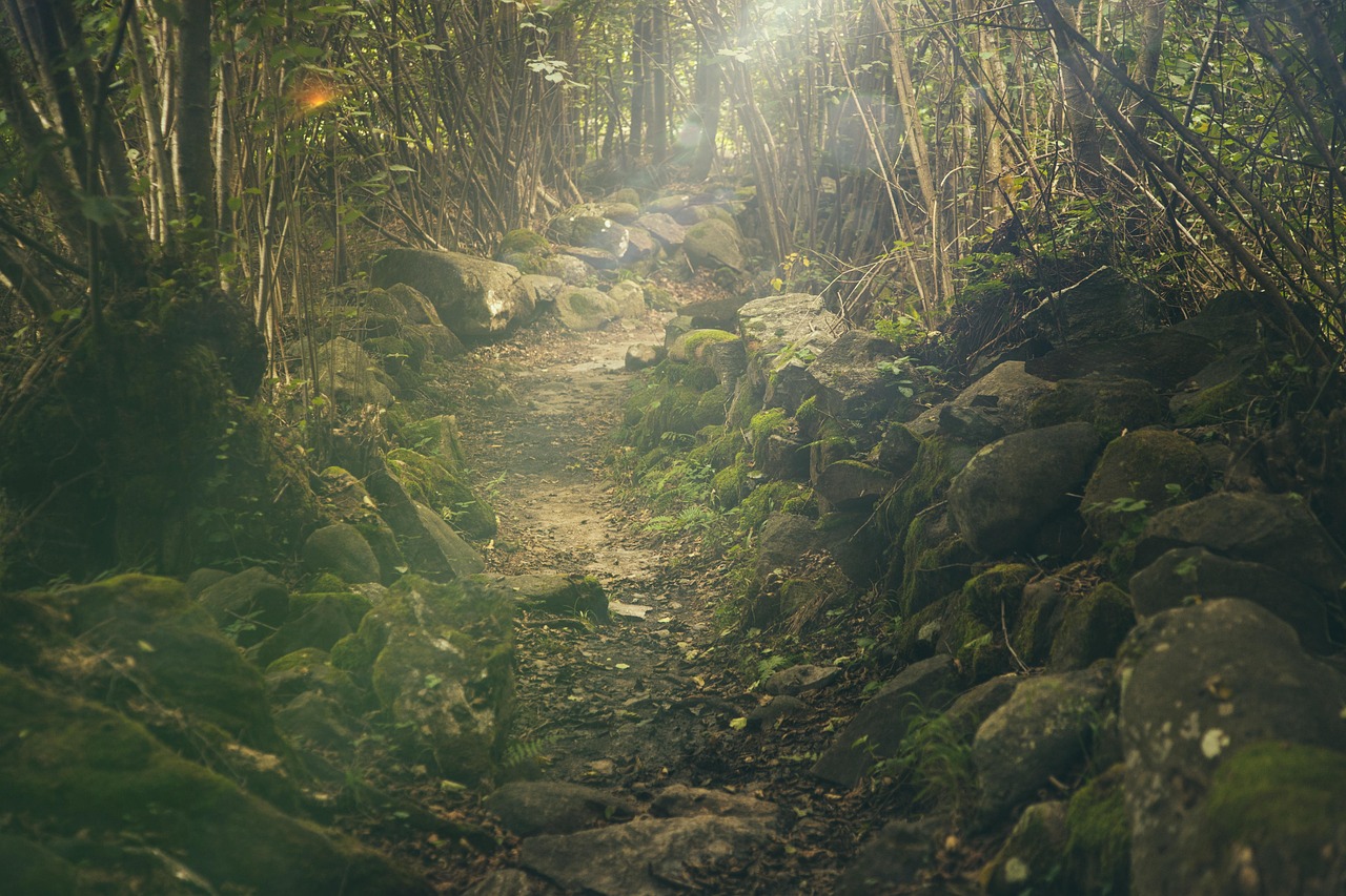 [self-hypnosis] i am more than enough