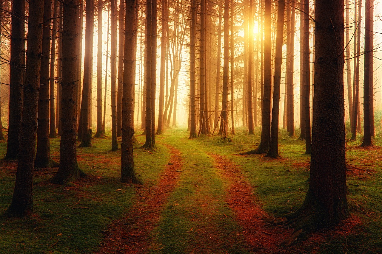 [self-hypnosis] managing how i respond to stress is key to my peace of mind