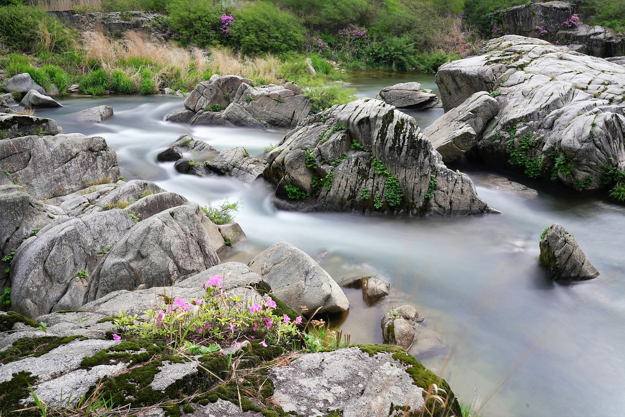 unleashing the power of suggestion: the art and science of hypnotherapy training
