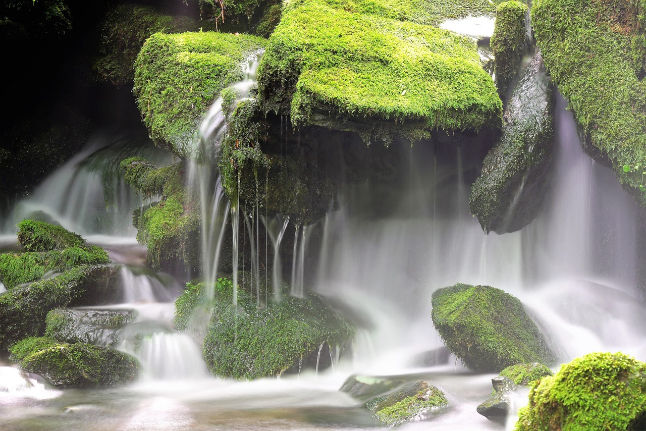 the healing hypnosis: empowering the mind to conquer trauma through hypnotherapy training