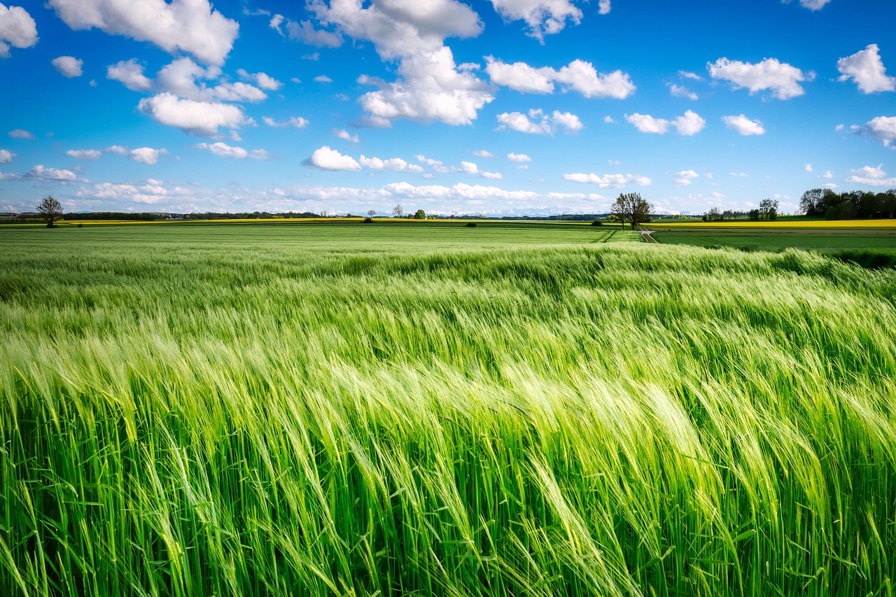 breaking the shackles of codependency: hypnotherapy training unleashes inner empowerment