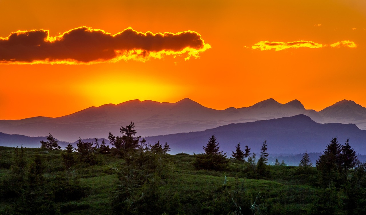 mastering attachment and codependency through hypnotherapy: a revolutionary approach