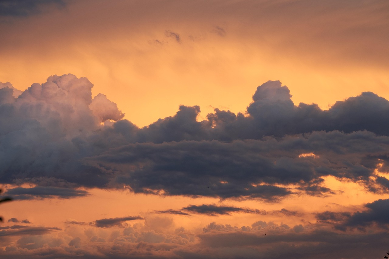 breaking the chains of codependency through hypnotherapy training