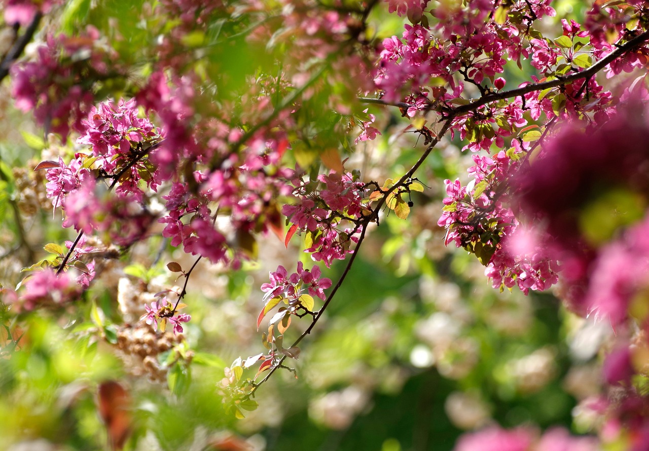 unlock your healing potential at boulder hypotherapy institute
