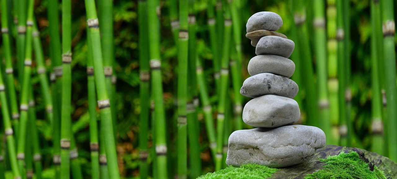 healing attachment wounds with hypnotherapy training