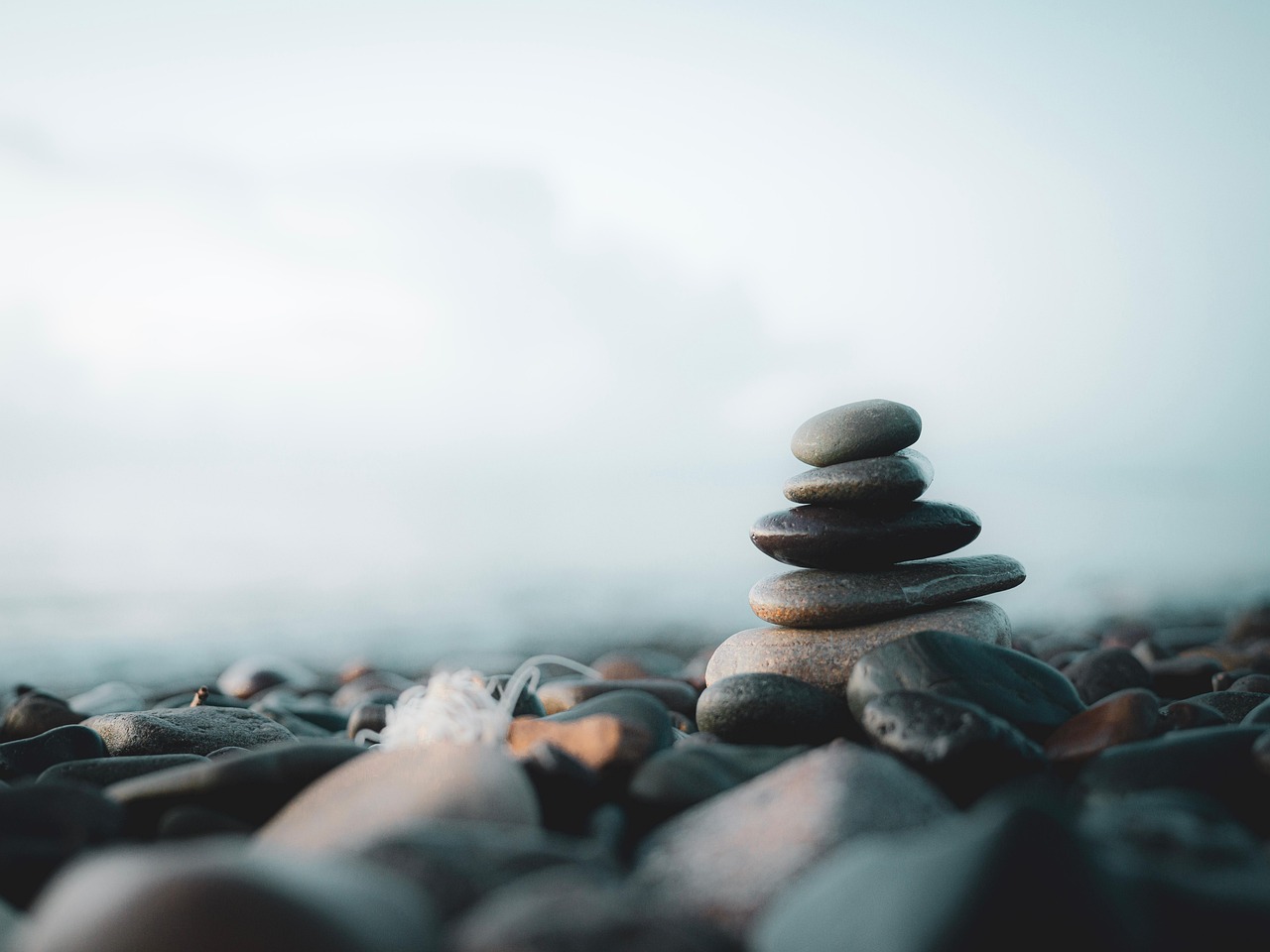 nervous system regulation is the new mental health priority — here's how hypnotherapy helps