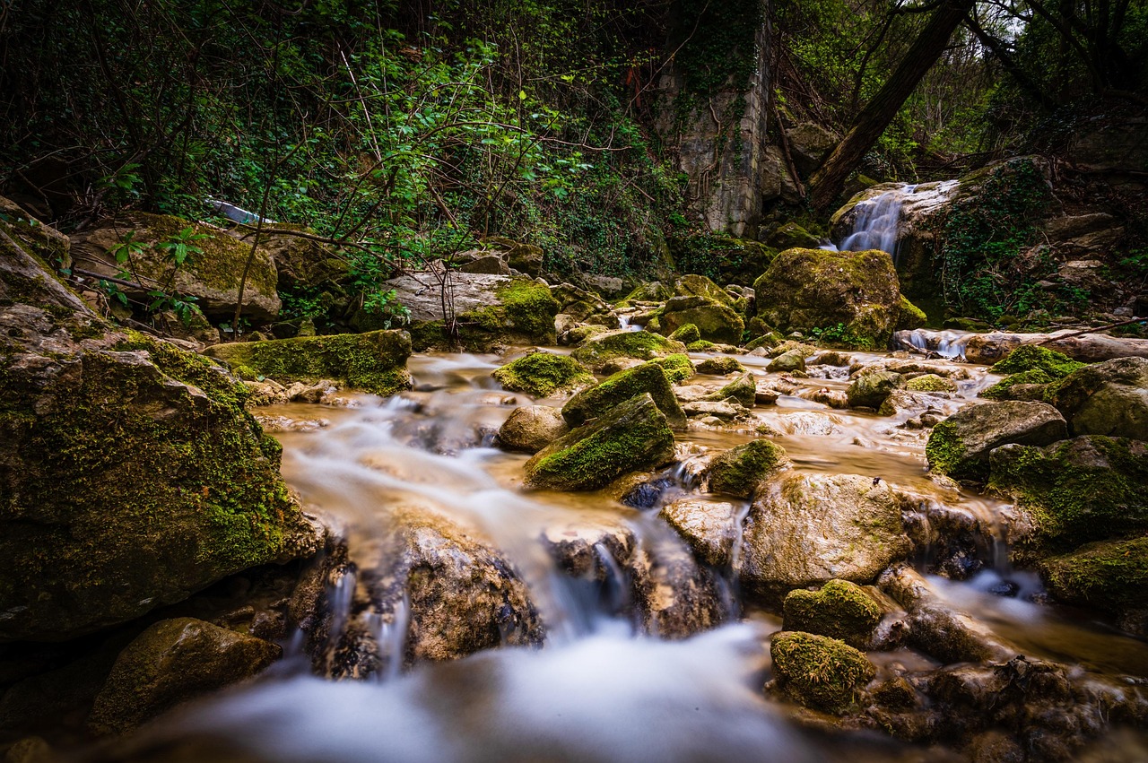 comprehensive guide to boulder hypnotherapy institute training programs