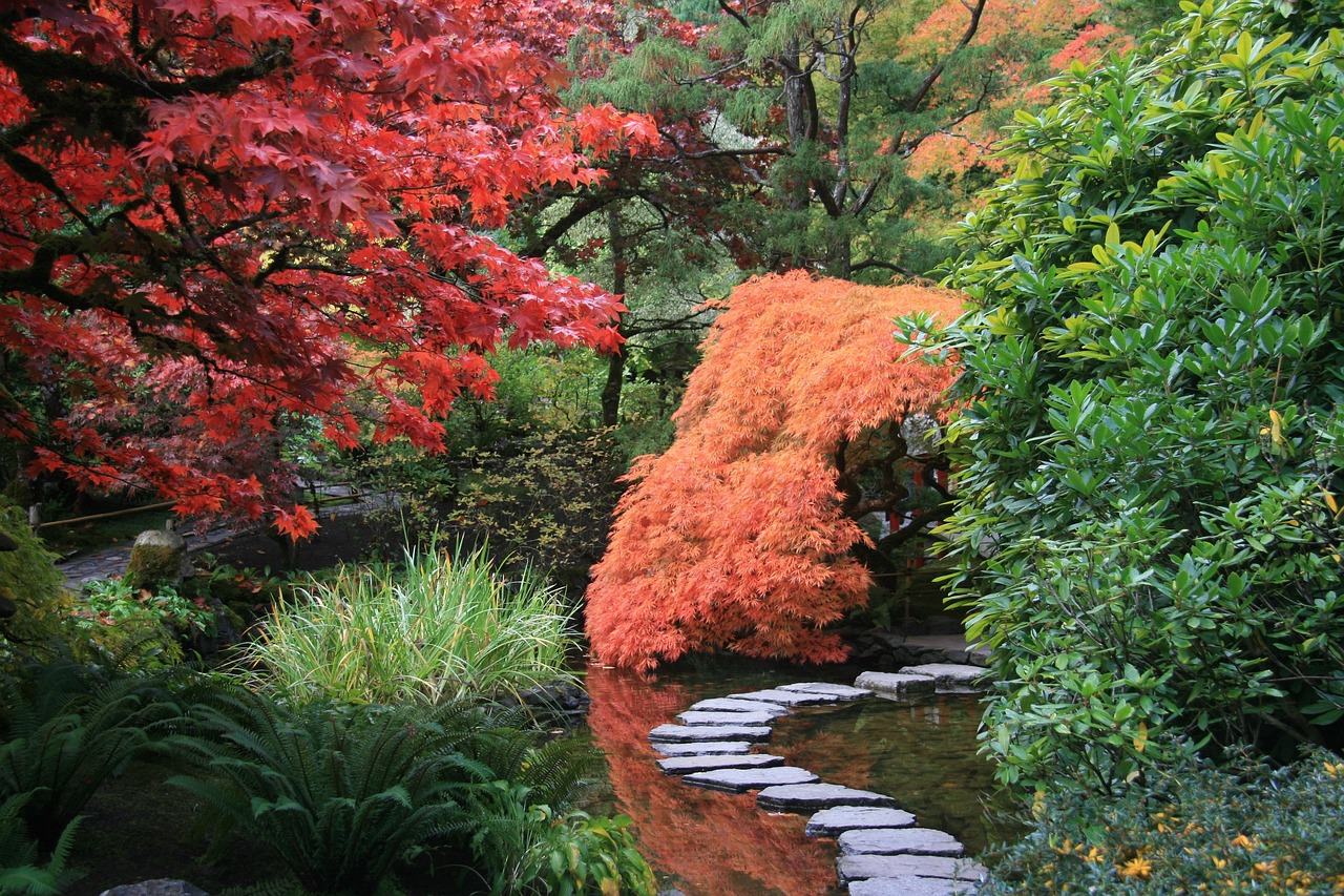 comprehensive guide to boulder hypnotherapy institute training programs